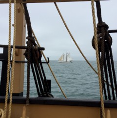 Schooner Bowdoin